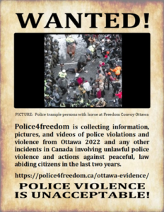 Collection of Police Violence reports from Ottawa
