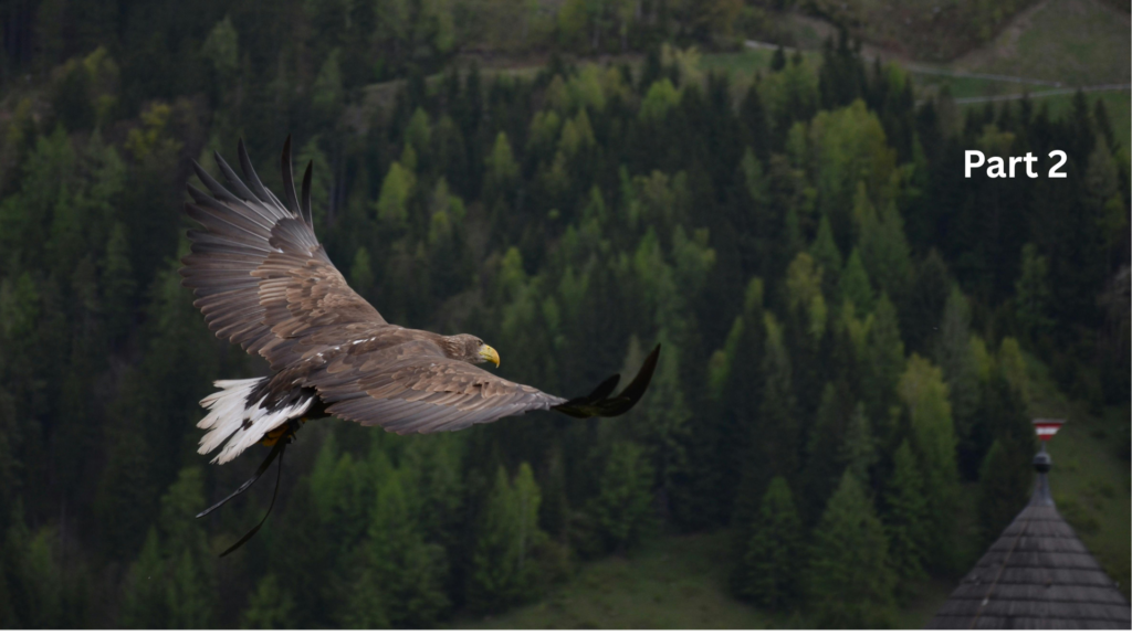 The True Opposite of the Fruit of the Spirit — and Why It’s Dividing Our World